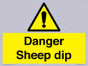 danger-sheep-dip~